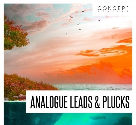 Concept Samples Analogue Leads and Plucks WAV